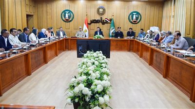 تجهيز 541 لجنة فرعية استعداد لانتخابات مجلس النواب 2025 في المنوفية