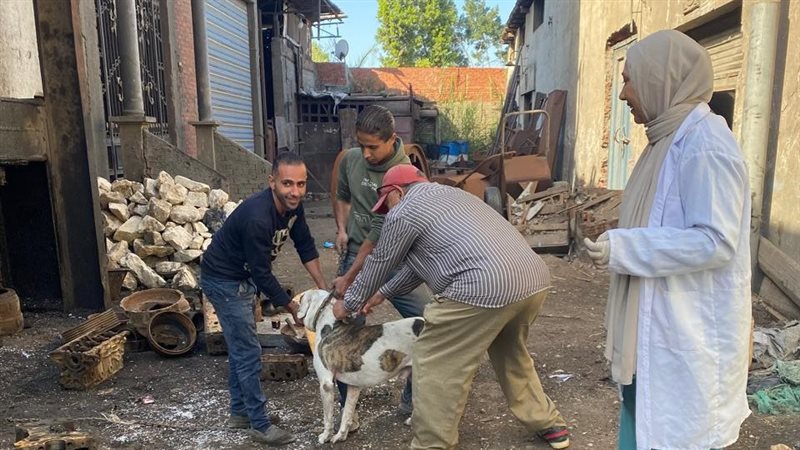  مدير الطب البيطري