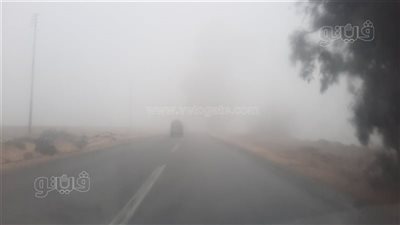 الشبورة تغلق الطريق الصحراوي في الإسكندرية