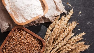 انخفاض مبشر، أسعار القمح والدقيق اليوم في الأسواق