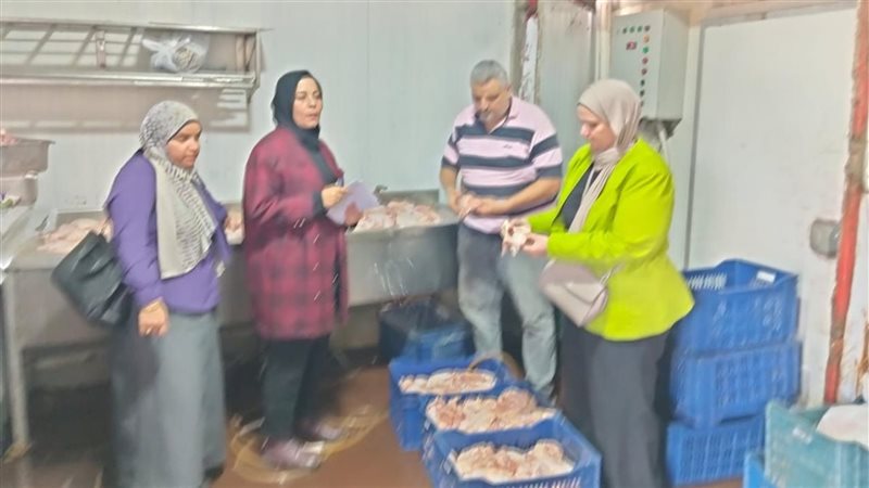 حملة مكبرة بأجا،