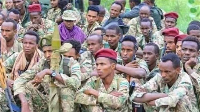 جبهة أوجادين تفضح