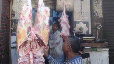 بيطري أسوان يضبط ويصادر 5 أطنان لحوم غير صالحة للاستهلاك الآدمي (صور)