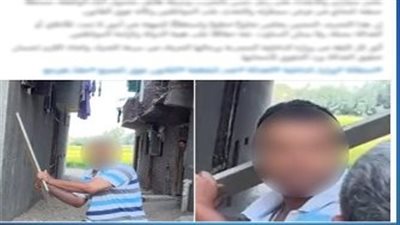 الأمن يكشف ملابسات فيديو تحطيم سيارة وسرقة هاتف في الإسماعيلية 