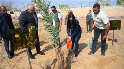 وزيرة التضامن توجه باستصلاح 5 آلاف فدان وزراعتها بالنخيل في الوادي الجديد
