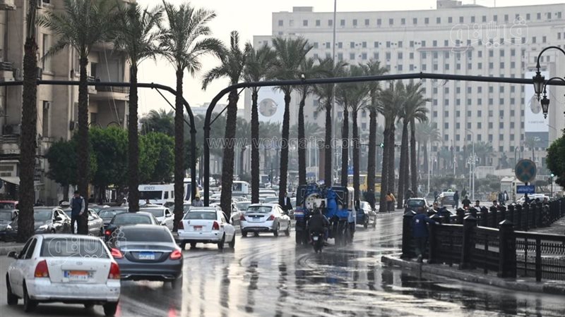 حالة الطقس،فيتو