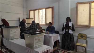 وفد دولي يتابع انتخابات النواب بلجنة الملك الكامل في الدقهلية (صور)