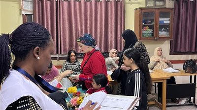 انتخابات النواب 2025، البعثة الدولية لـ
