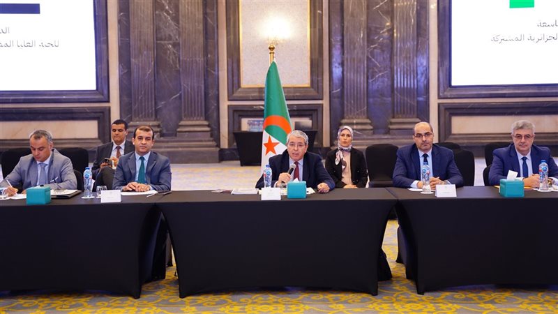 اللجنة العليا المصرية