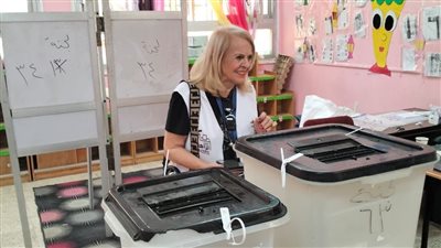 ائتلاف نزاهة يختتم أعمال المتابعة الميدانية لانتخابات مجلس النواب 2025