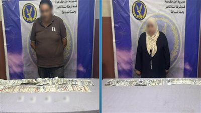 ضبط شخص وسيدة بتهمة شراء أصوات الناخبين في منشأة ناصر
