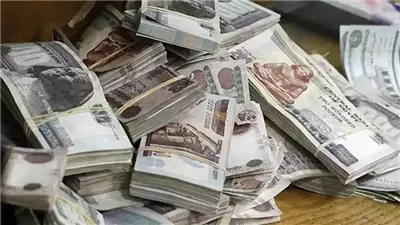 ضبط 8 عناصر جنائية غسلوا 1.6 مليار جنيه من تجارة المخدرات