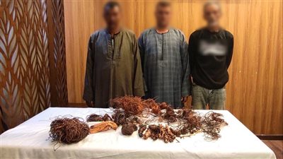 الأمن يكشف ملابسات فيديو سرقة كابلات كهربائية بأكتوبر ويضبط المتهمين