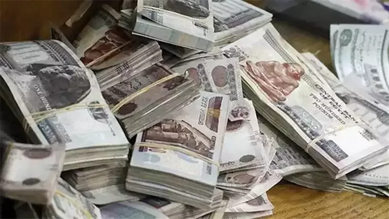 ضبط 8 عناصر جنائية