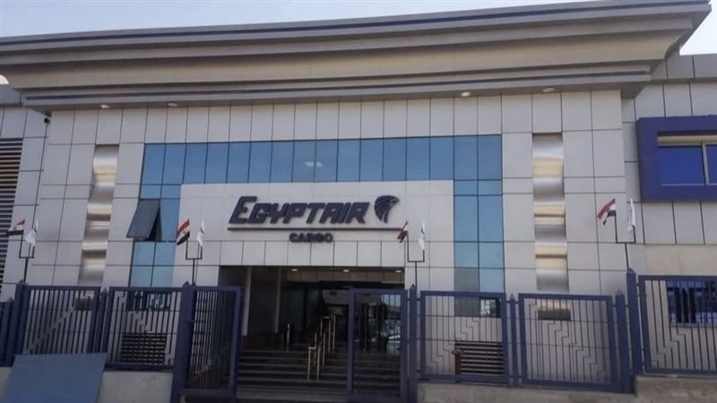 أكاديمية مصر للطيران،