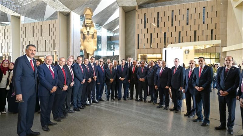 مجلس جامعة القاهرة