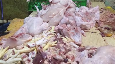 ضبط 180 كيلو لحوم وأجزاء مجهولة المصدر بمحل دواجن في شبرا الخيمة