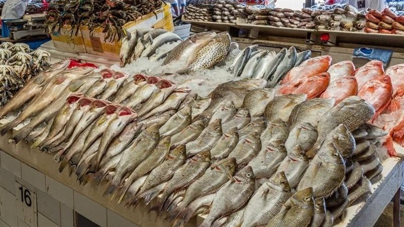 سعر السمك اليوم،