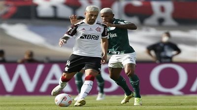 كأس كوبا ليبرتادوريس، بالميراس وفلامنجو يتنافسان على اللقب الرابع 