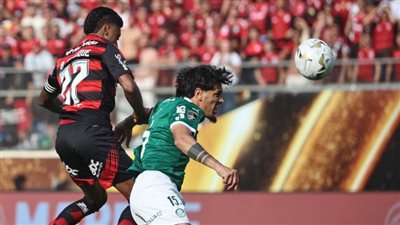 فلامنجو يهزم بالميراس ويتوج بطلا لكأس كوبا ليبرتادوريس 2025 (فيديو)