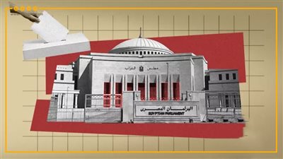 الدوائر الملغاة بأحكام الإدارية العليا بانتخابات مجلس النواب 2025 (إنفوجراف)