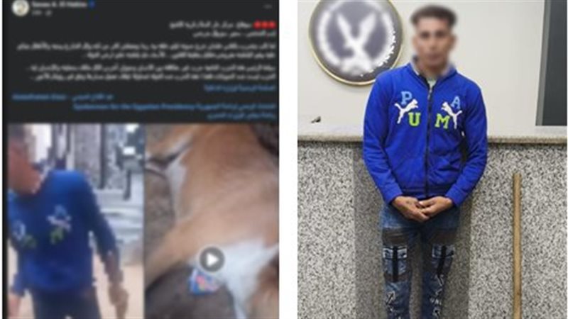 ضبط مزارع لتعديه