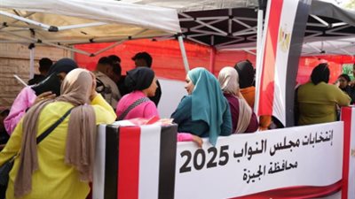 كيف سيتم احتساب نتائج الانتخابات بدائرة إمبابة بعد وفاة أحد مرشحيها؟