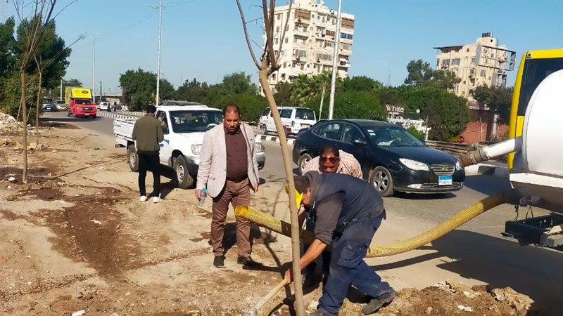 زراعة أشجار، فيتو