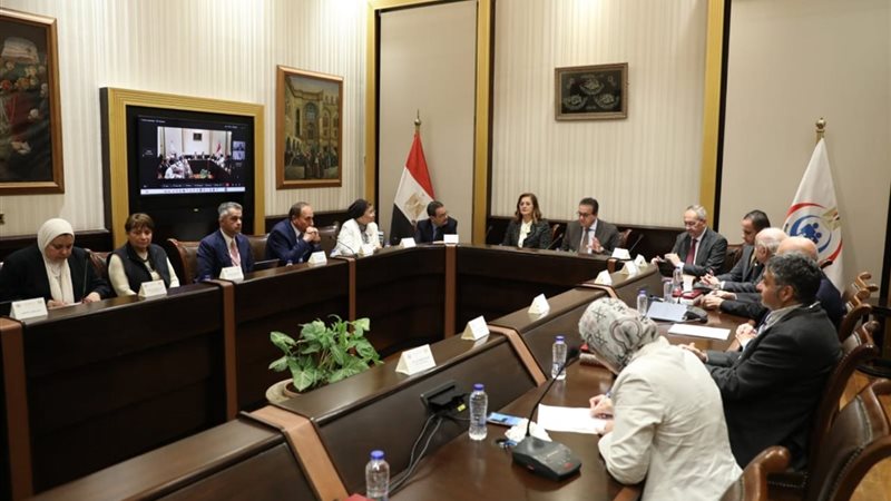اللجنة الاستشارية