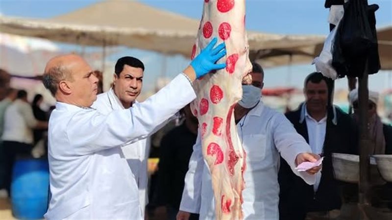 حملات الطب البيطري