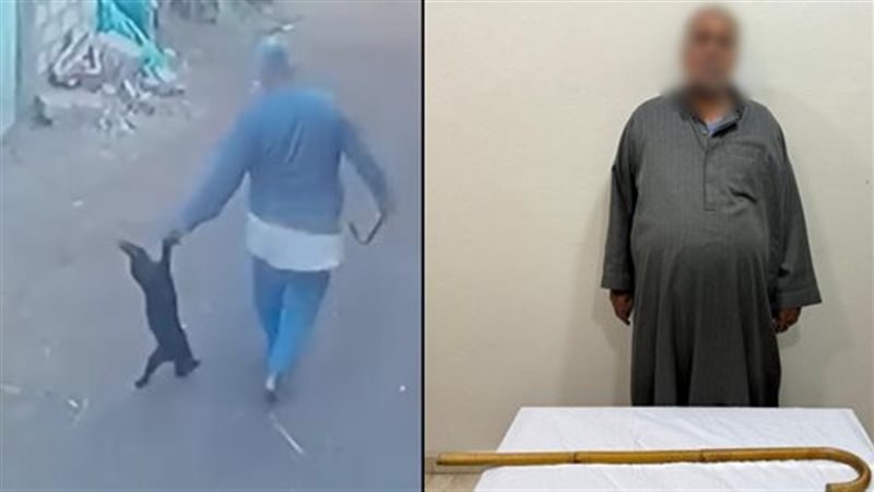 المتهم