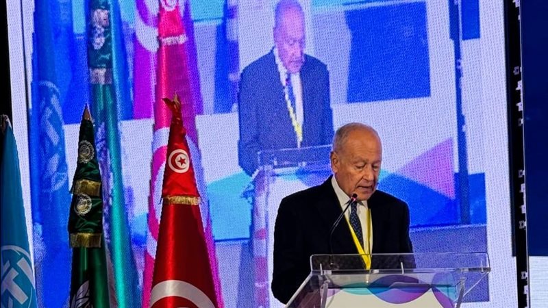 أحمد أبو الغيط، فيتو