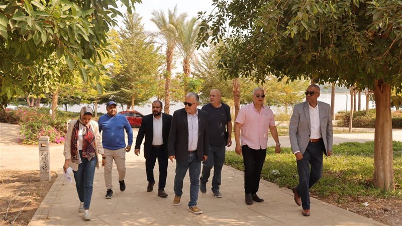 رئيس الفنون التشكيلية