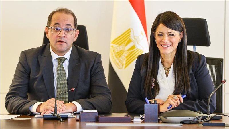 وزيرا التخطيط والمالية