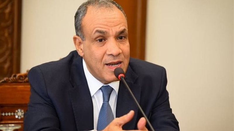 بدر عبد العاطي وزير