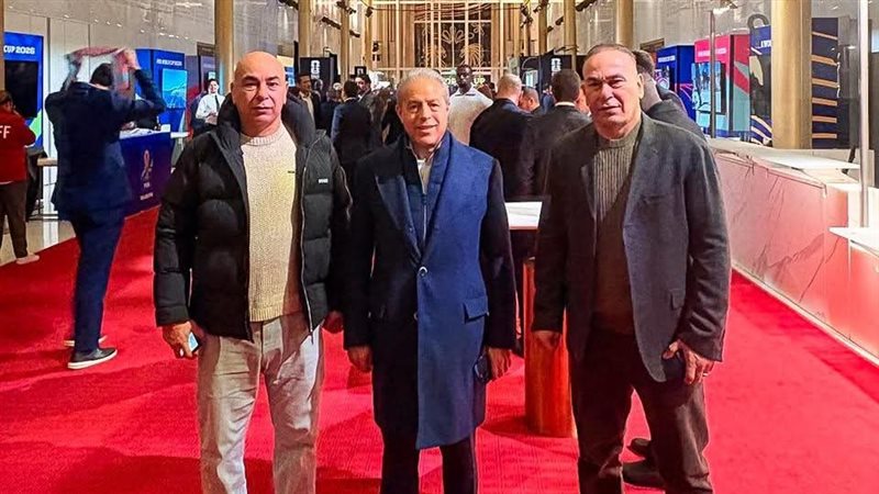 حسام حسن، فيتو