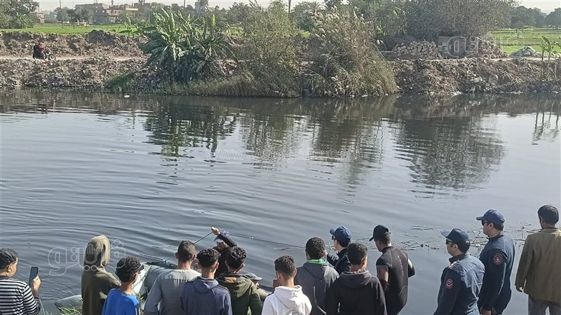 رحلة البحث عن تماسيح
