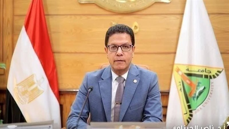 د. ناصر الجيزاوي،