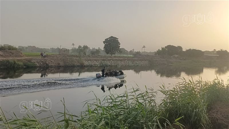 البحث عن تماسيح الزوامل،