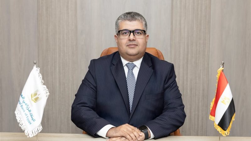 يحيى العناني، رئيسًا