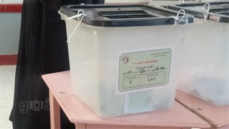 انتخابات النواب بالوادي