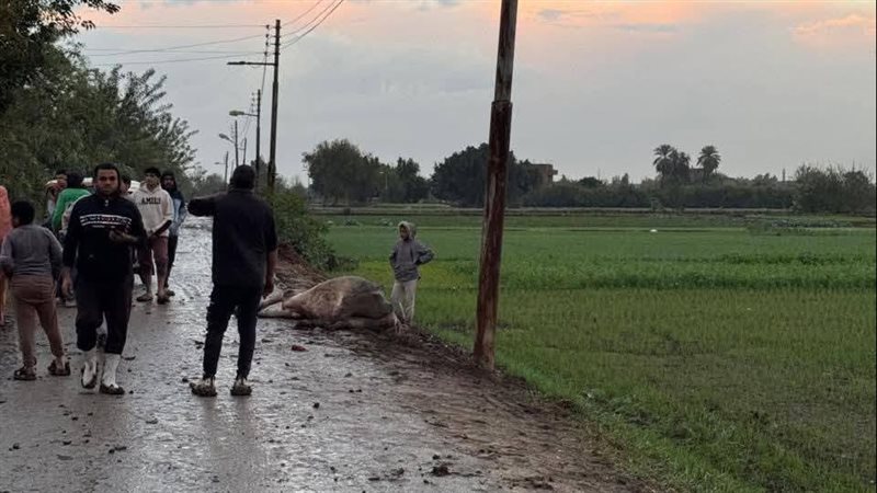 ماس كهربائي بعامود