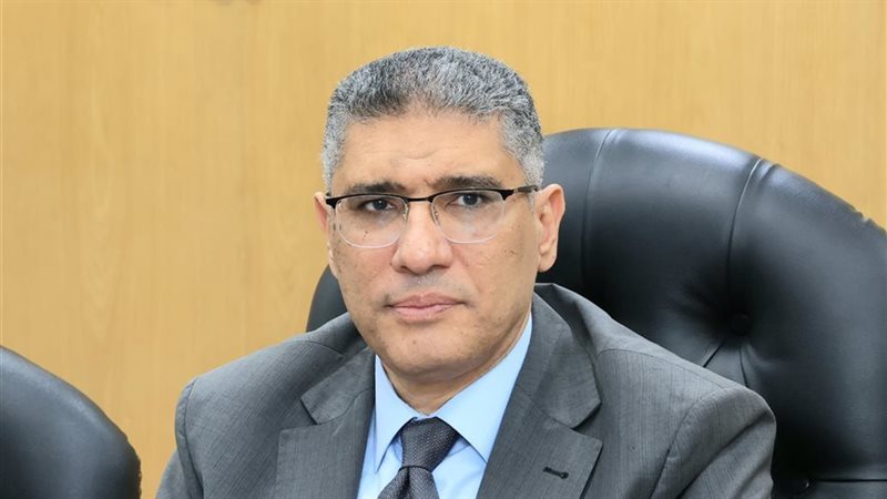 محافظ الجيزة