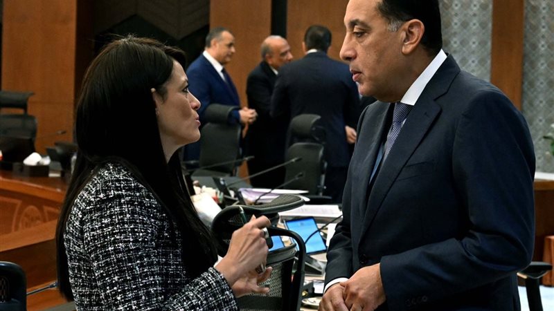 وزيرة التخطيط خلل