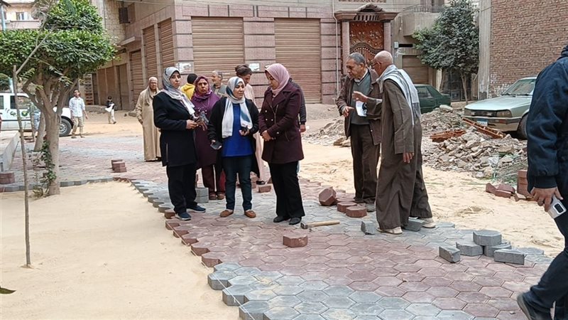أعمال التطوير، فيتو