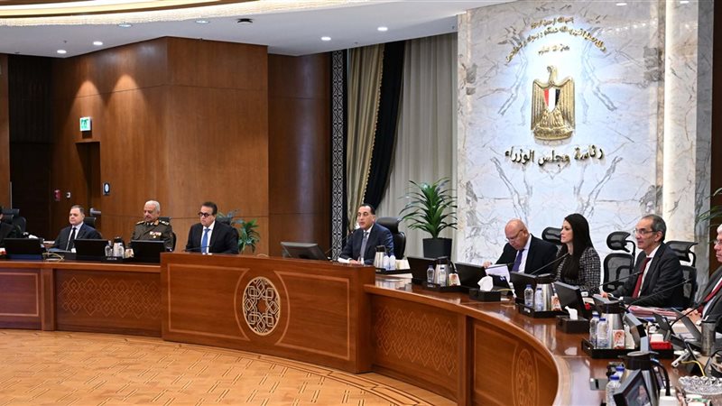 مجلس الوزراء، فيتو