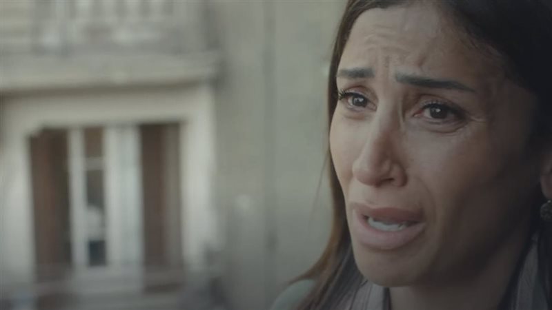 دينا الشربيني، فيتو