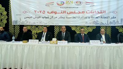 الحصر العددي لدائرة حوش عيسى الملغاة بانتخابات النواب بالبحيرة