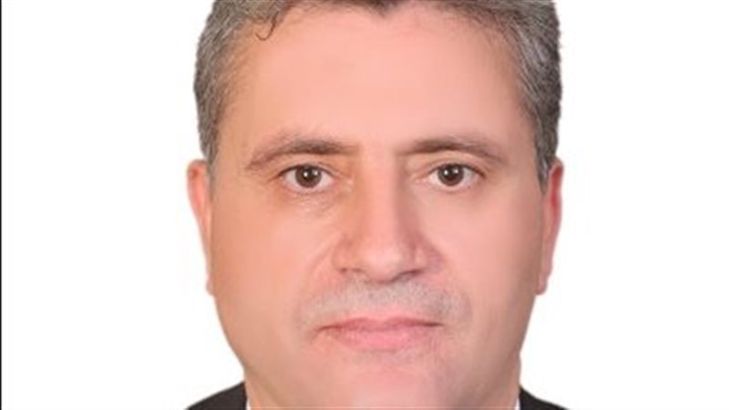 نائب رئيس جامعة بنها،