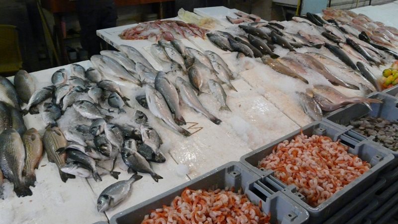 سعر السمك اليوم،